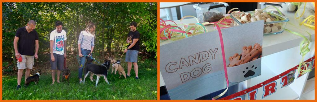 dog-day-locaux-plus-que-pro-collaborateurs-chiens